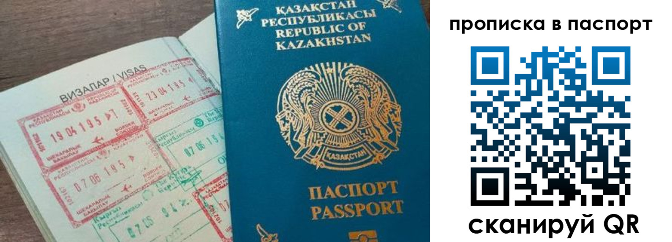 прописка поиск в Жердевке